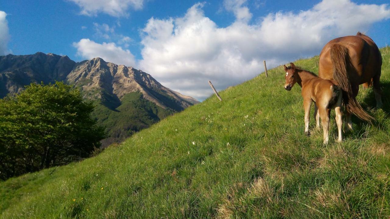 B&B La Bredia Fivizzano Kültér fotó