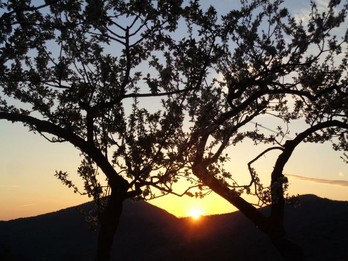 B&B La Bredia Fivizzano Kültér fotó